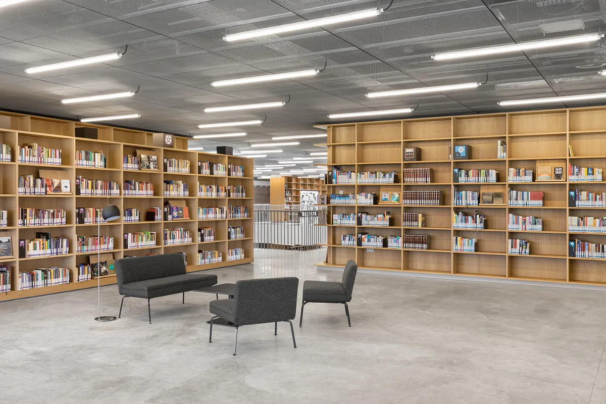 Lignes de luminaires Indelague TTP 50 au plafond d’une médiathèque aux rayonnages en bois