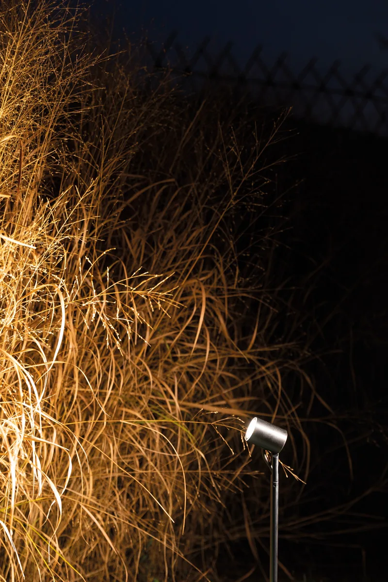 Projecteur Lombardo Ago Garden piqué dans un massif de graminées, éclairage rasant de nuit