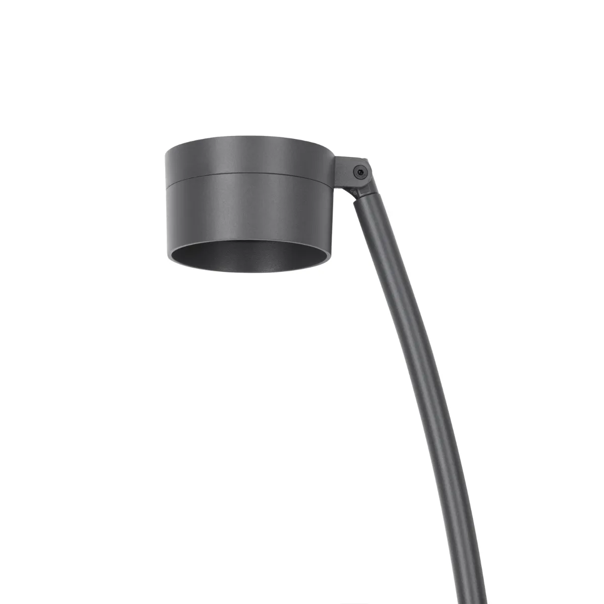 Lombardo Hasta R : version à mât cintré, tête cylindrique anthracite
